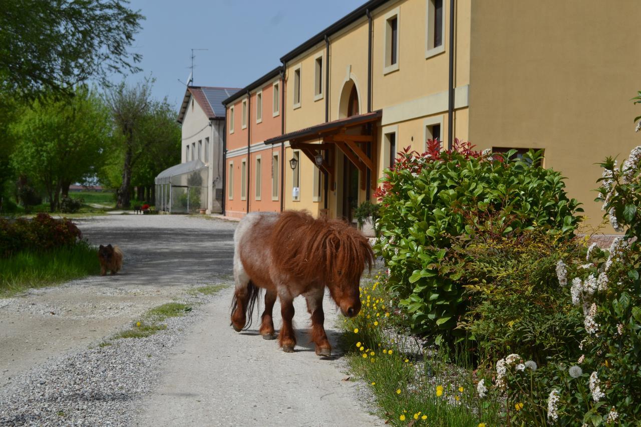 Agriturismo Otto Ducati D'Oro Isola della Scala Zewnętrze zdjęcie